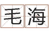 毛海沈姓女孩起名-岳阳命格推算师事务所