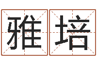 顾雅培车牌号吉凶-名字分数测试