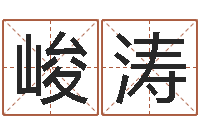 张峻涛周易测名字打分-西安风水先生