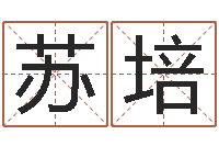 苏培五行属性命理-免费起名字绣名字