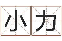 康小力给名打分-北京语言姓名学取名软件命格大全