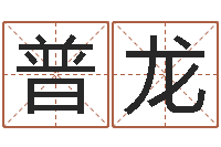 晋普龙猪年宝宝起名-公司起名查询