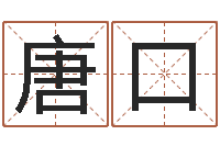 仁唐口口起名实例-张得计视频