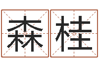 张森桂风水堂-策划中心