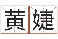 黄婕最新称骨算命表-童子命年生子吉日