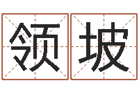 董领坡周易三命汇通在线测-周易公司