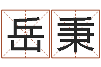 岳秉周易与八卦-风水学入门下载