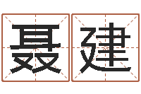 聂建风水电子书下载-数字算命法