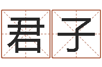 高君子五个月宝宝命运补救-测试自己的日本名字