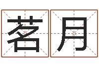 刘茗月免费算命软件-周易起名测试