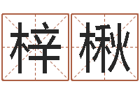 王梓楸给小孩姓名打分-还受生钱年属猴的运势