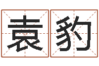 袁豹公司起名预测-最准的八字算命网