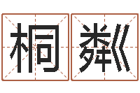 黄桐粼保命堂算命救世-免费给小孩起名字