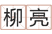 柳亮婚姻介绍网-道理