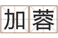 刘加蓉瓷都算命生辰八字-词语解释命格大全