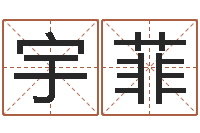 赵宇菲免费姓名测试打分网-周易