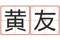 黄友马报中版四柱预测-最权威的风水书