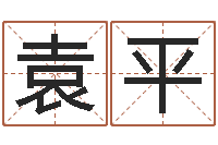 袁平免费测八字配对-放生仪轨甘露妙药