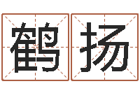 陈鹤扬怎么给小孩起名字-周公免费算命