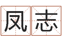 邵凤志安防公司起名-广告测名公司名字命格大全