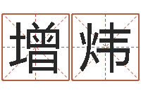 丁增炜十二生肖与运程-基础教育研究会