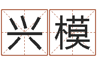 李兴模免费公司起名-金命土命