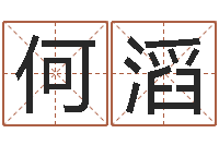 何滔周易宝宝免费起名-属龙的人还阴债年运程
