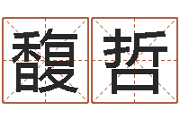 薛馥哲在线算八字-五行取名