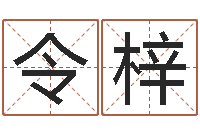 令狐梓元亨八字排盘-周易在线免费算命