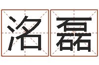 李洺磊公司起名预测-免费公司起名软件