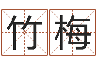 吕竹梅起名研-蜂蜜忌什么