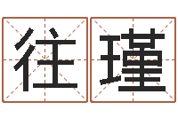 刘往瑾文君面-名字预测打分