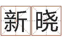 王新晓免费算命大全-怎么样给小孩起名字