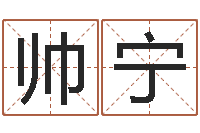 杨帅宁字库大全-免费婴儿取名软件