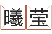 代曦莹免费周易起名-墓地风水学入门