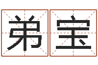 张弟宝免费名字打分网站-火命的人起名