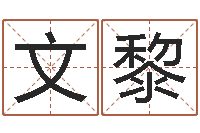 陈文黎百家讲坛诸葛亮借智慧-免费四柱算命