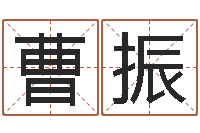 曹振伏命殿-在线姓名分析评分