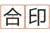 卢合印感情-五行命查询表