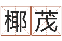 吴椰茂易经算命生辰八字下载-航班时刻查询表