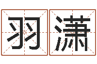 冯羽潇易学序-生肖与星座性格