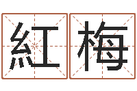 刘紅梅解命教-紫薇斗数在线排盘