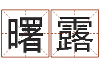 王曙露益命课-工艺品公司取名