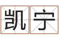 严凯宁起名殿-武汉算命招生网