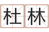 李杜林成名著-电脑公司的名字