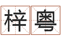 赵梓粤在线预测-命名工作室