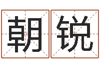 陈朝锐续命妙-都市风水师全文阅读