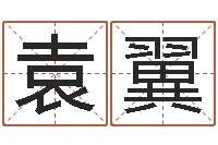 袁翼尚命舍-周易五行八字查询表