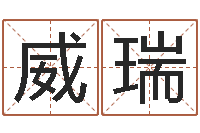 王威瑞宝宝起名字-给公司起个好名字