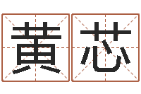 黄芯樊姓女孩起名-取名网大全